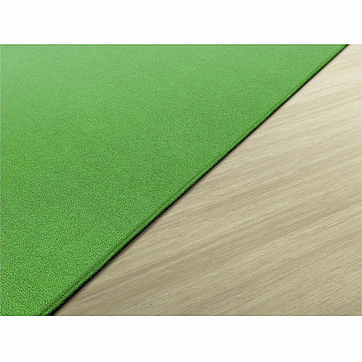 Flagship Carpets Ameristrong Solid Color Rug (BS44LG)
