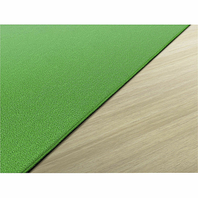 Flagship Carpets Classic Solid Color 6'x9' Rug (AS34LG)