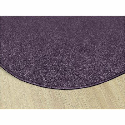 Flagship Carpets Amerisoft Solid Color Rug (TS27PP)