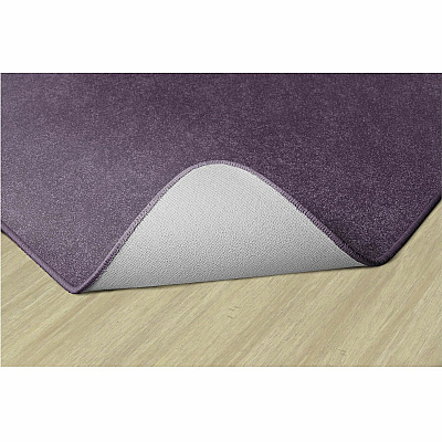 Flagship Carpets Amerisoft Solid Color Rug (TS70PP)