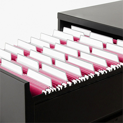 Smead Protab Filing System with 20 Letter Size Hanging File Folders, 24 ProTab 1/3-Cut Tab labels, and 1 eraser (SMD64197)