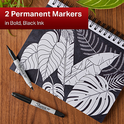 Sharpie Brush Twin Permanent Markers (SAN2152698)