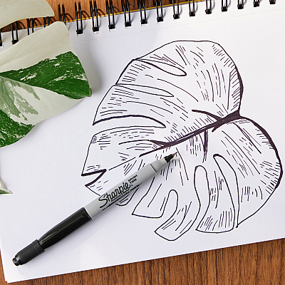 Sharpie Brush Twin Permanent Markers (SAN2152698)