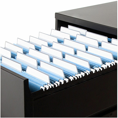 Smead Protab Filing System with 20 Letter Size Hanging File Folders, 24 ProTab 1/3-Cut Tab labels, and 1 eraser (SMD64210)