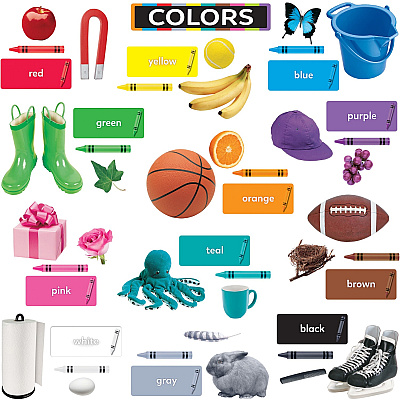 TREND Colors All Around Us Learning Set (TEPT19005)