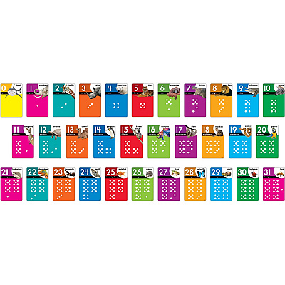 TREND Animals Count 0-31 Learning Set with Numbered Counting Cards (TEPT19008)
