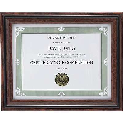 Advantus Certificate Frame (AVTVS4501B811)