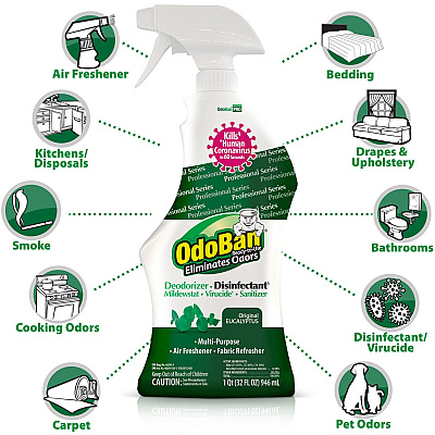 OdoBan Eucalyptus Deodorizer Disinfectant Spray (ODO910062Q12CT)