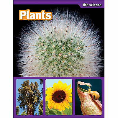 Scholastic SuperScience STEM Instant Activities Printed Book (SHS1338099000)
