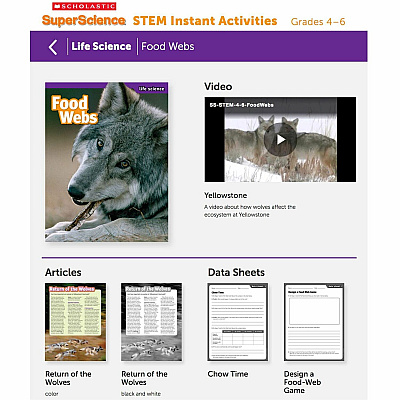 Scholastic SuperScience STEM Instant Activities Printed Book (SHS1338099019)