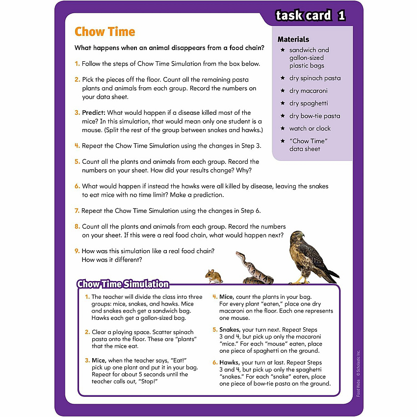 eazyzoom