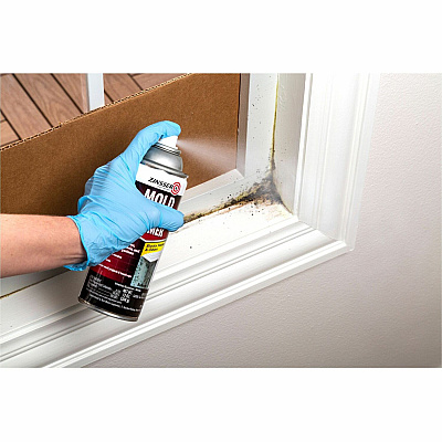 Zinsser Mold Killing Primer (RST287512)