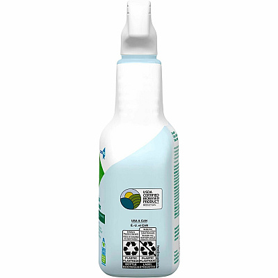 CloroxPro EcoClean Glass Cleaner Spray (CLO60277CT)