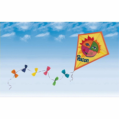 Fadeless Bulletin Board Paper Rolls (PACP0056935)