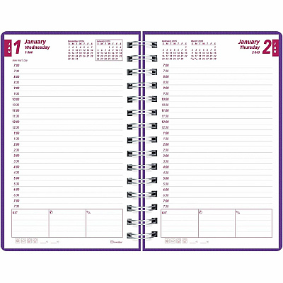 Brownline DuraFlex Daily Appointment Planner (CB634VPUR)