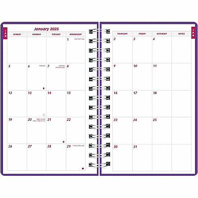 Brownline DuraFlex Daily Appointment Planner (CB634VPUR)