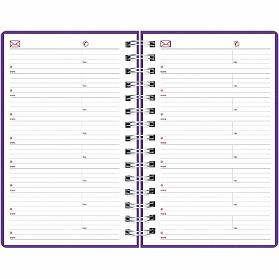 Brownline DuraFlex Daily Appointment Planner (CB634VPUR)