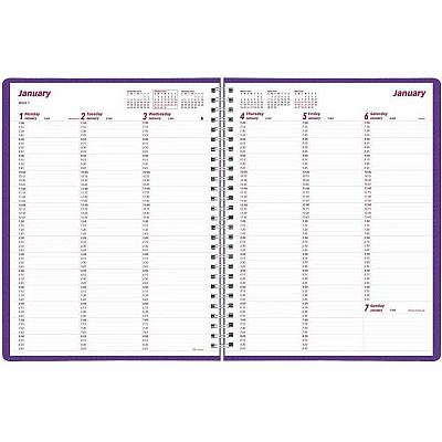 Brownline DuraFlex Weekly Appointment Planner (CB950VPUR)