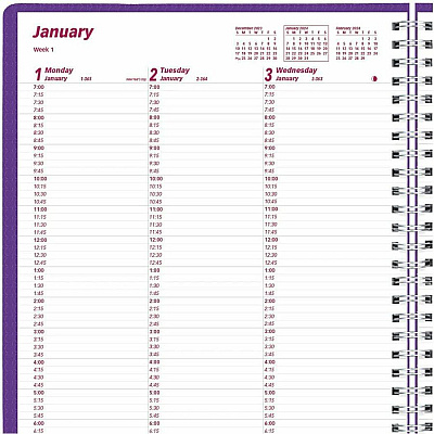 Brownline DuraFlex Weekly Appointment Planner (CB950VPUR)