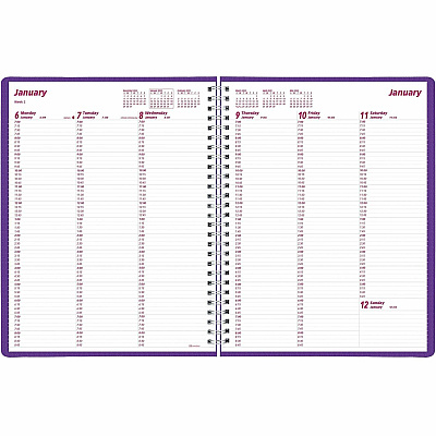 Brownline DuraFlex Weekly Appointment Planner (CB950VPUR)