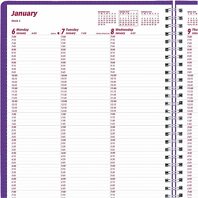 Brownline DuraFlex Weekly Appointment Planner (CB950VPUR)