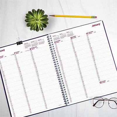 Brownline DuraFlex Weekly Appointment Planner (CB950VPUR)