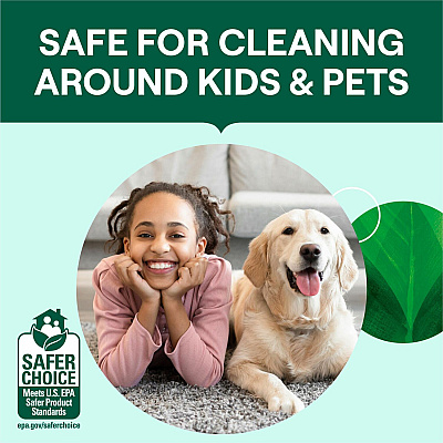 Seventh Generation Emerald/Fir Toilet Bowl Cleaner (SEV45166)