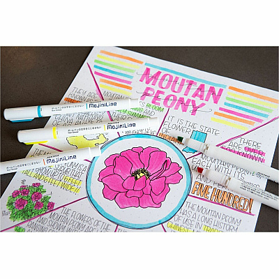 Zebra Mojini Single Ended Highlighters (ZEB70200)