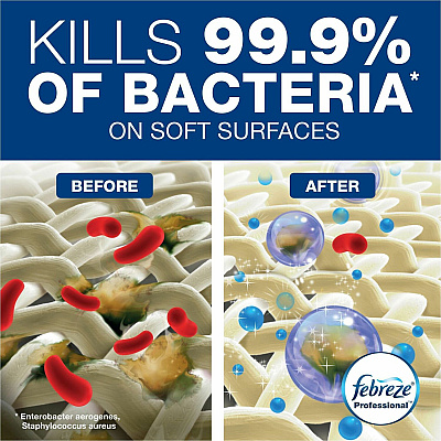 Febreze Sanitizing Fabric Refresh (PGC07309EA)