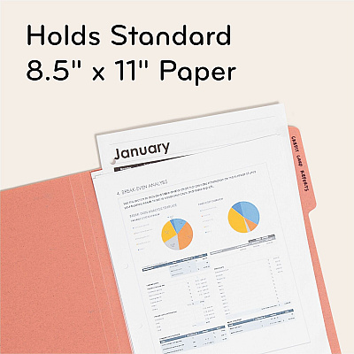 U Brands 1/3 Tab Cut Letter Organizer Folder (UBR6597U0112)