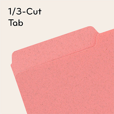 U Brands 1/3 Tab Cut Letter Organizer Folder (UBR6597U0112)