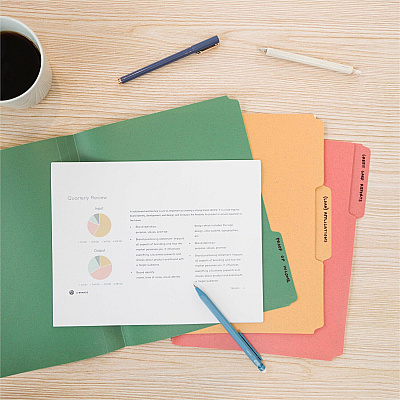 U Brands 1/3 Tab Cut Letter Organizer Folder (UBR6597U0112)