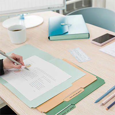 U Brands 1/3 Tab Cut Letter Organizer Folder (UBR6597U0112)