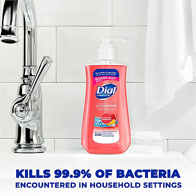 Dial Pomegranate Tangerine Antibacterial Hand Soap (DIA20943)