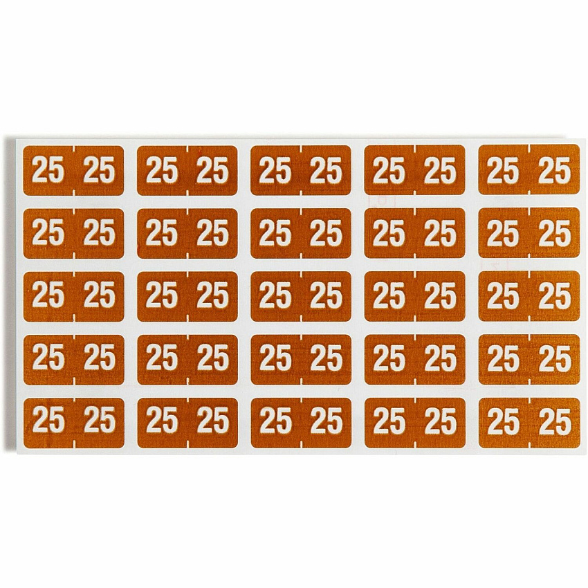 eazyzoom