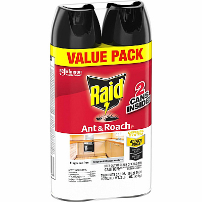 Raid Ant & Roach Killer Spray (SJN370913)