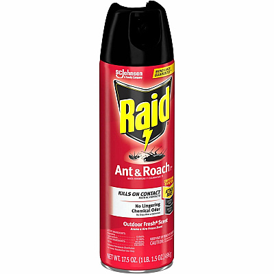 Raid Ant & Roach Killer Spray (SJN366000CT)