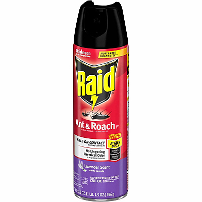 Raid Ant & Roach Killer Spray (SJN365982)