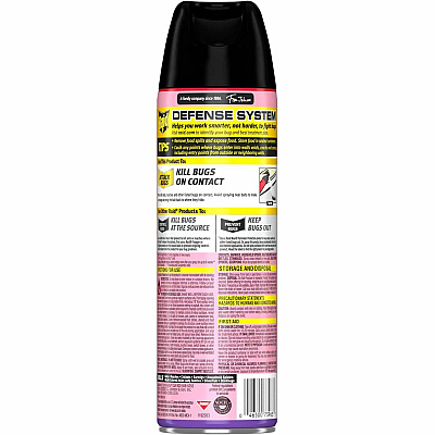 Raid Ant & Roach Killer Spray (SJN365982)