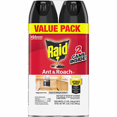Raid Ant & Roach Killer Spray (SJN370913CT)
