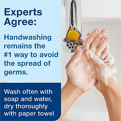 TORK Extra Mild Hand Washing Foam Soap (TRK401811)