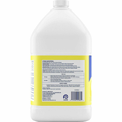 Professional LYSOL Deodorizing Cleaner (RAC99985CT)