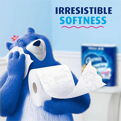 Charmin Ultra Soft Bath Tissue (PGC08797)