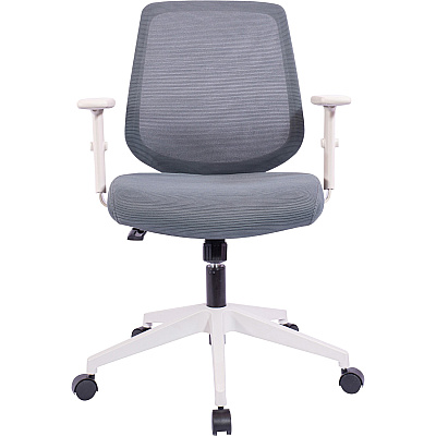 NuSparc Mid-Back Task Chair (NPRCH201MAGY)