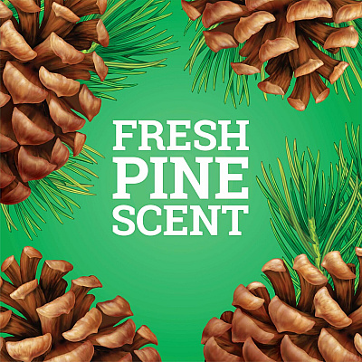 Pine-Sol Multi-Surface Cleaner (CLO60606CT)