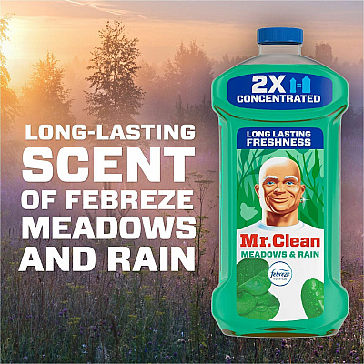Mr. Clean Multi-Surface Cleaner (PGC10725)