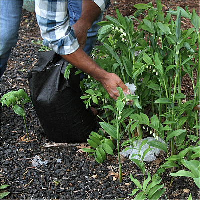 Quick Dam Flood Bags (APRQD122420)