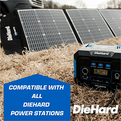 DieHard 200-Watt Solar Panel for Portable Power Station (ESMDH2000601)