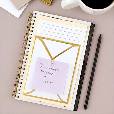 AT-A-GLANCE Radiate Weekly/Monthly Planner (AAG1725905)