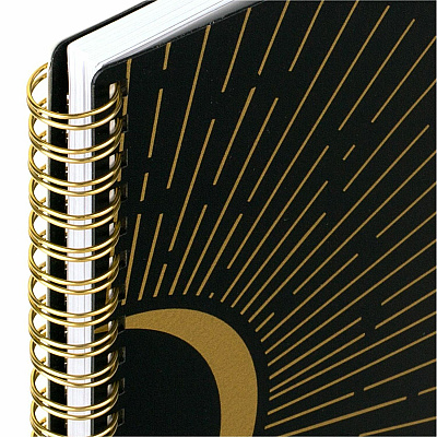 AT-A-GLANCE Radiate Weekly/Monthly Planner (AAG1725905)